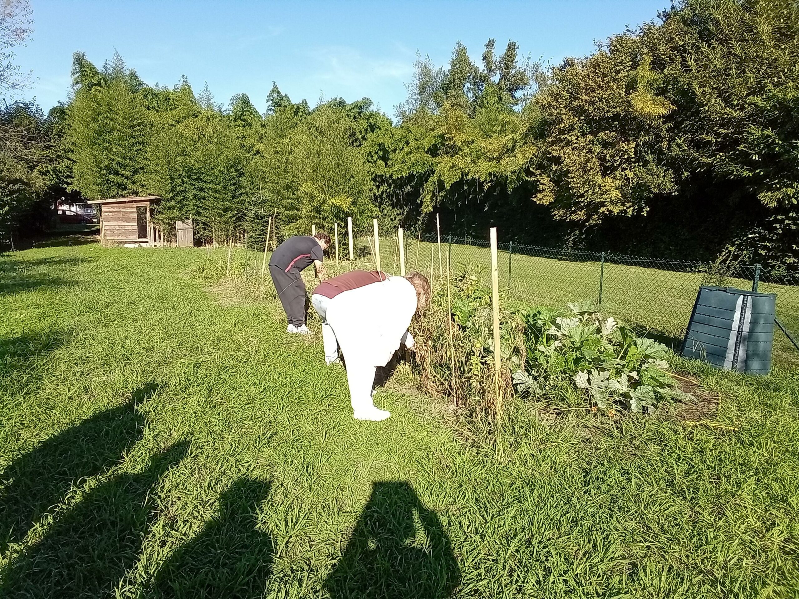 À Orthez, la solidarité se cultive aussi… au potager !